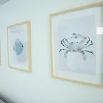 Aria - In